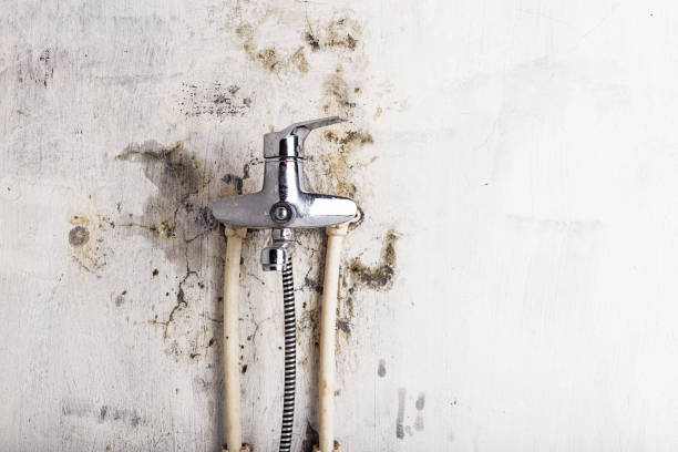 Best Mold Remediation for Specific Building Types in Stigler, OK