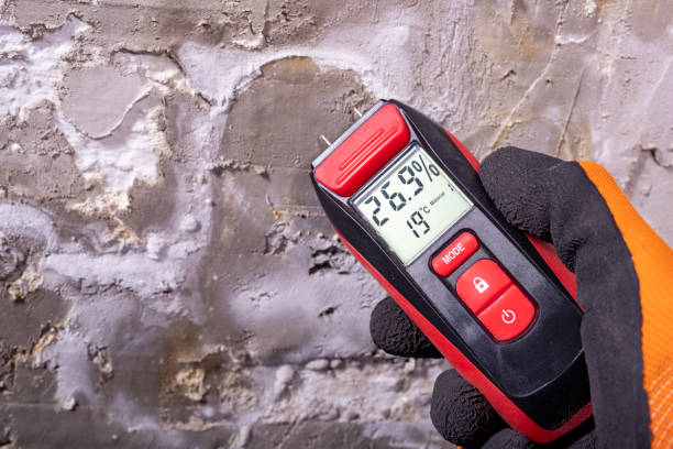Best Emergency Mold Remediation in Stigler, OK