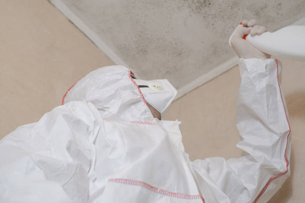 Best Attic Mold Remediation in Stigler, OK
